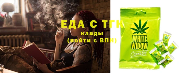 прущие грибы Лабытнанги