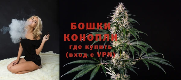 ГАЛЛЮЦИНОГЕННЫЕ ГРИБЫ Куйбышев