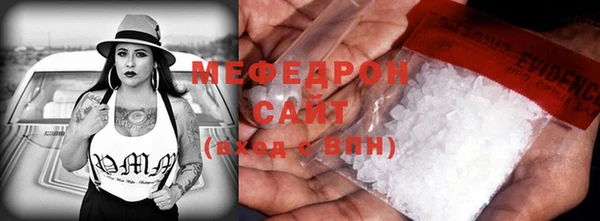 прущие грибы Лабытнанги