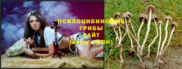 прущие грибы Лабытнанги