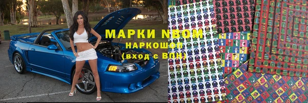 прущие грибы Лабытнанги