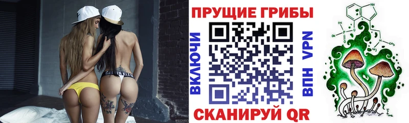 Псилоцибиновые грибы GOLDEN TEACHER  Купить закладки  Благовещенск 